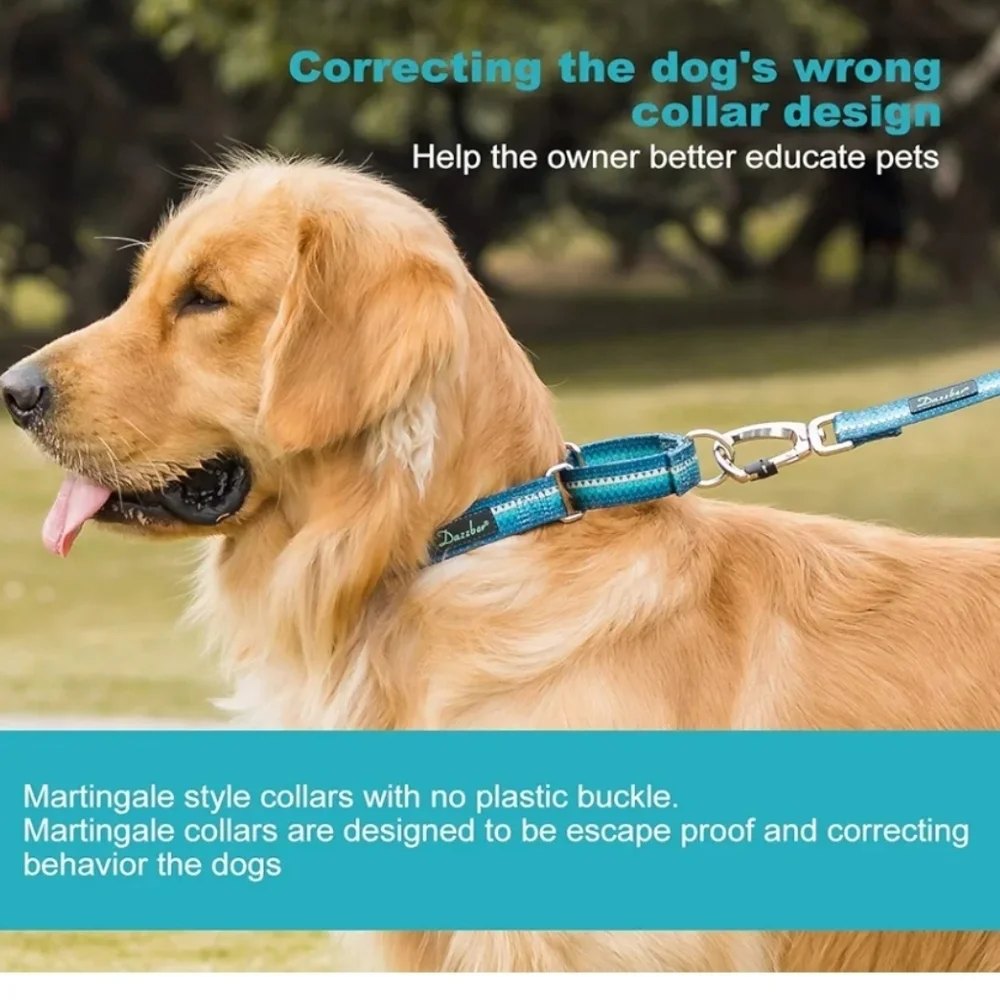 New Turquoise Martingale Dog Training Collar No Pull Heavy Duty Geometric Design